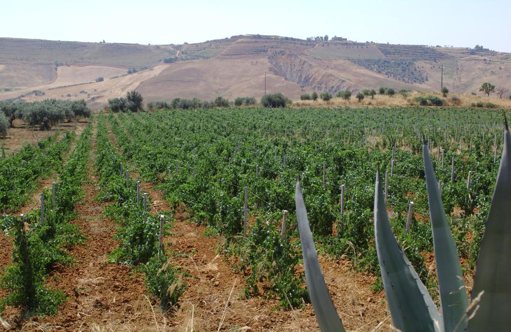 Antica Tenuta Del Nanfro كالتاجيروني المظهر الخارجي الصورة